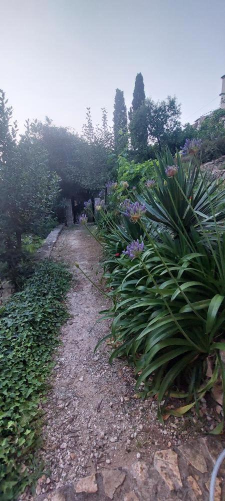Panoramic View With Jacuzzi Apartment Vis Exterior photo